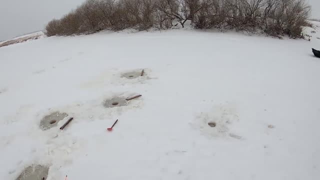 РЫБАЛКА НА ХАПУГИ 2022. ПОЙМАЛ ЭТОГО КРАСАВЦА И ОТПУСТИЛ... смотреть онлайн