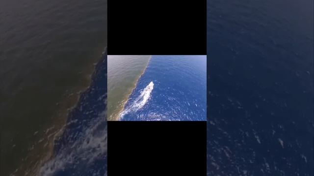 Граница между Средиземного моря и Атлантического океана вода не смешивается из-за разной солёности. смотреть онлайн