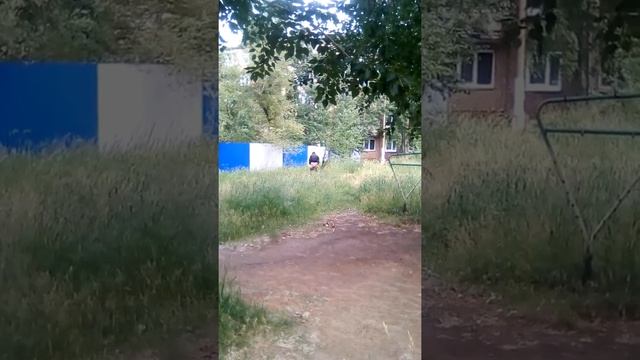 12 июля 2019 г.