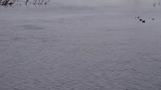 "Нетрадиционная" рыбалка смотреть онлайн