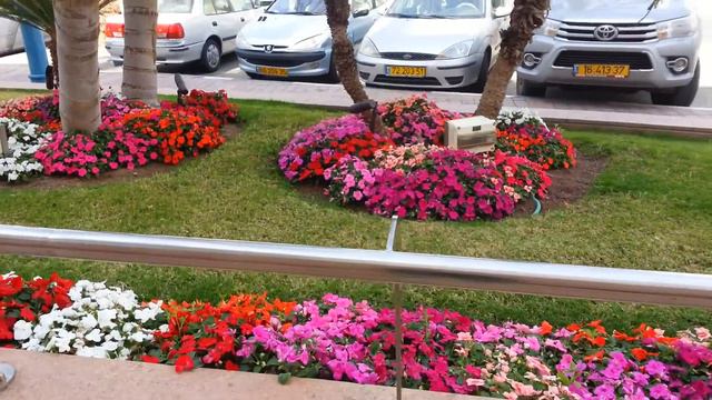 Эйлат. Конец марта. Возле торгового центра Ла Бульвар смотреть онлайн