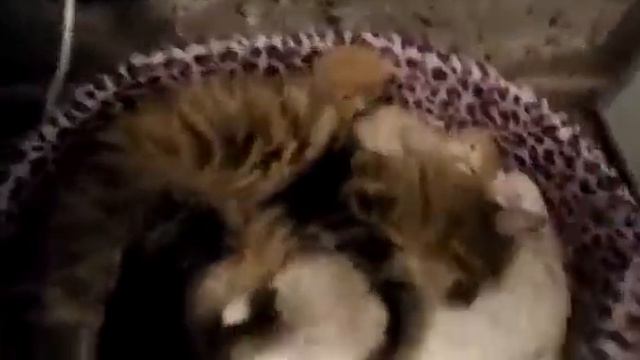 Это был самый лучший день смотреть онлайн