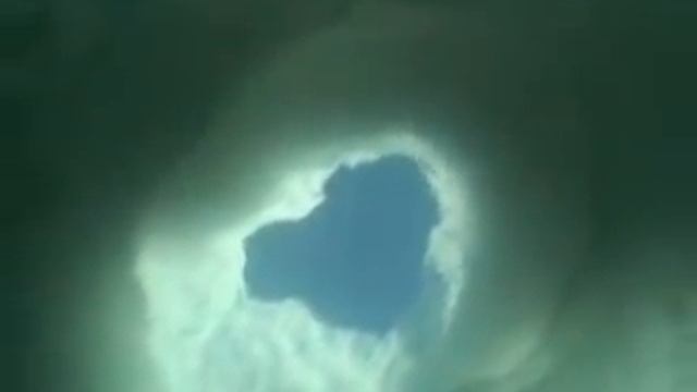 BAIKAL SEAL НЕРПА БАЙКАЛА смотреть онлайн