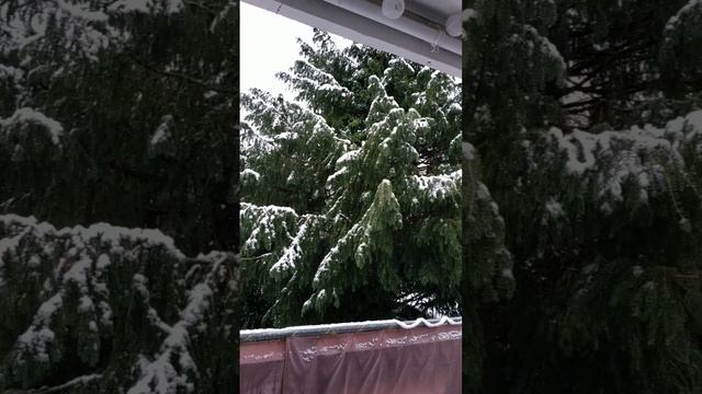 ЗИМА И ПТИЧКИ ПОЮТ смотреть онлайн