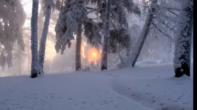 таежный роман смотреть онлайн