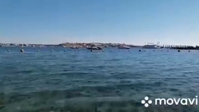 ПРОГУЛКА ПО МОРЮ.. КАК ЖЕ ВЫВЕСТИ БОЛЬШОЕ КОЛ-ВО МЕДИКАМЕНТОВ????? 💥💥💥💥💥💥💥💥💥💥🥀🥀🥀🥀🥀🥀🥀🥀🥀🥀🥀 смотреть онлайн