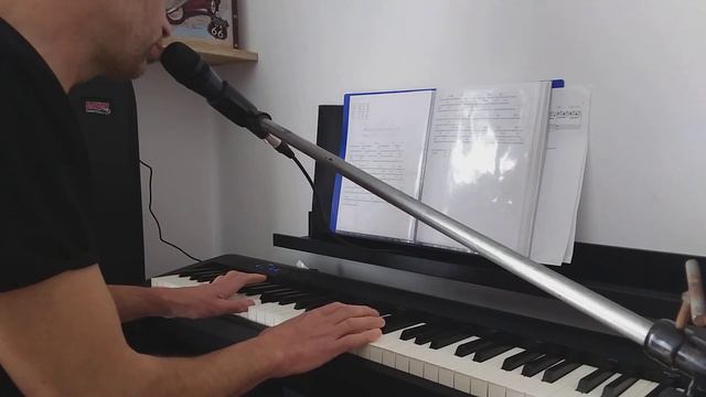 Je Suis Malade Cover Piano Voix