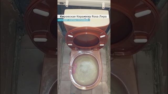Унитаз с установкой под ключ Кировская Керамика Rosa Лира Коричневый Декор от UnitazShop смотреть онлайн