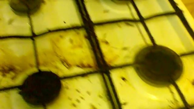 Тараканы. Ночной пир) смотреть онлайн