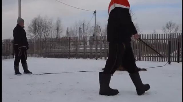 Рыжая Бестия Цезарион-Охрана вещи смотреть онлайн