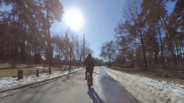 На Еву напала собака. Спаниель Сёма на пробежке. смотреть онлайн