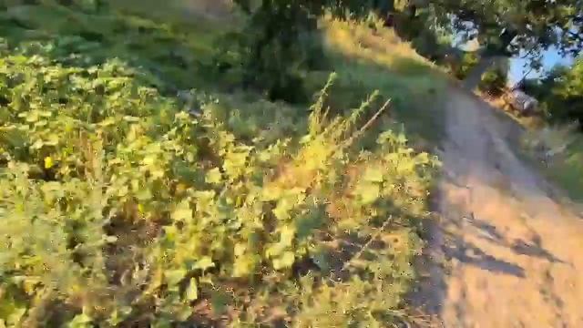 ?? Влог. Остров Сарпинский. Едем на дачу к друзьям. смотреть онлайн