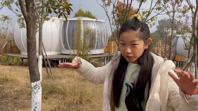 【Travel in China】 Drive through Safari | Live in the Treehouse | A funny horse pokes into our Car. смотреть онлайн