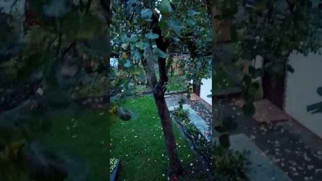 Перевели часы назад? осеннее утро 29.10.23 смотреть онлайн