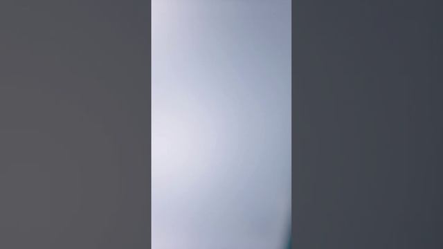 29 октября 2023 г. смотреть онлайн