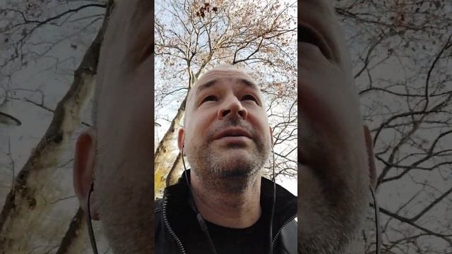 Там где клён шумит. Акапелло. смотреть онлайн