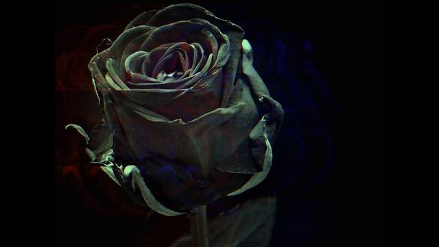 Группа АДА - Чёрная роза. 1994 год. Джамбул. Казахстан. ADA-Black Rose смотреть онлайн