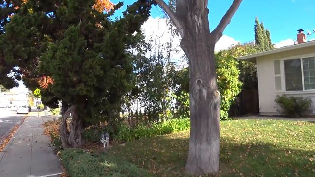 Субботняя бродилка по городу Саннивейл, что на Калифорнийщине смотреть онлайн