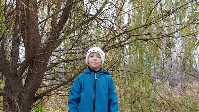 Перед дождём. Некрасов. Ремез. смотреть онлайн