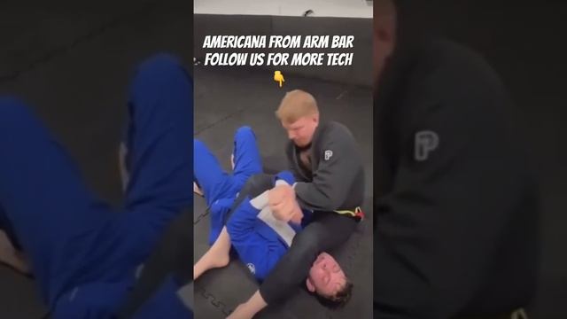 Americana From Arm Bar Defence Brazilian Jiu Jitsu BJJ MMA #bjj #ufc #wrestling #mma #grappling