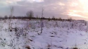 Заяц по первому снегу 2019.МР-153