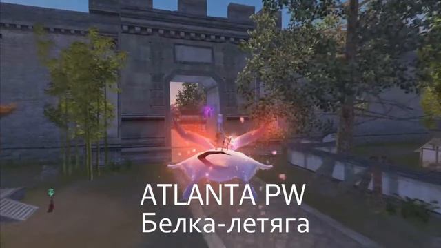 Белка летяга зоо смотреть онлайн