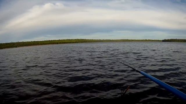 МЕСТА РЫБНЫЕ,А РЫБА НЕ ЛОВИТСЯ!!В ЧЕМ ПРИЧИНА!? смотреть онлайн