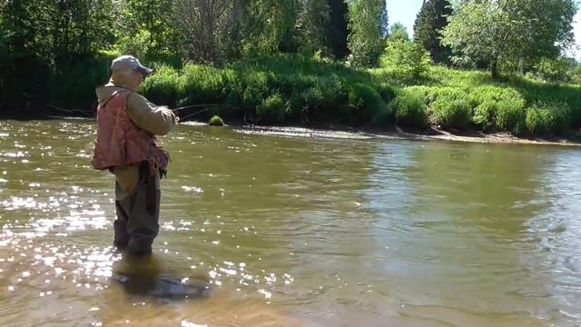 Голавль спиннингом на тяжелые микроколебалки.Ну почти микро,скорей даже не микро.)). смотреть онлайн