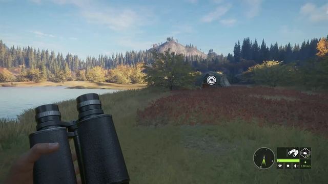 Фото Мистера Блэка в theHunter Call of the Wild смотреть онлайн