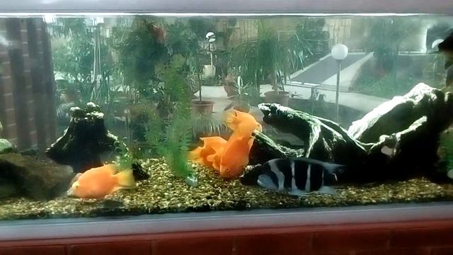 Релакс, часть 1-я смотреть онлайн