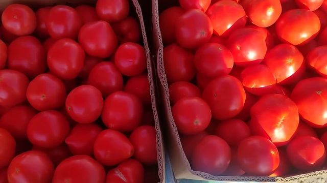 Ціни на ринку Шувар.Порівняння цін. смотреть онлайн