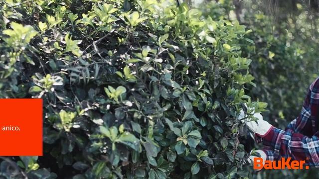 Cortasetos Bauker смотреть онлайн