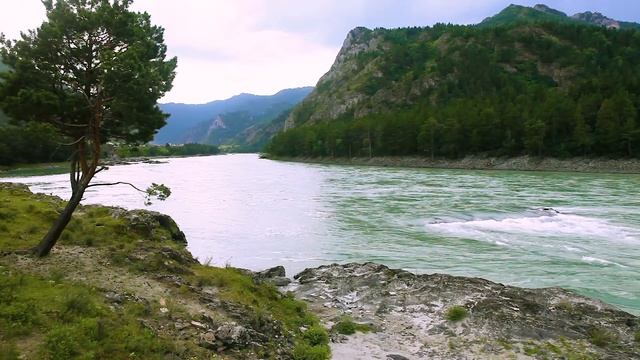 Горный Алтай. Река Катунь. Релакс | Katun river, mountain river смотреть онлайн