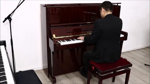 Petrof P 125 M1 - Mahagoni -  Enrique Soro Andante Appassionato