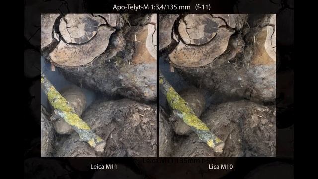 С.В. Савельев - 