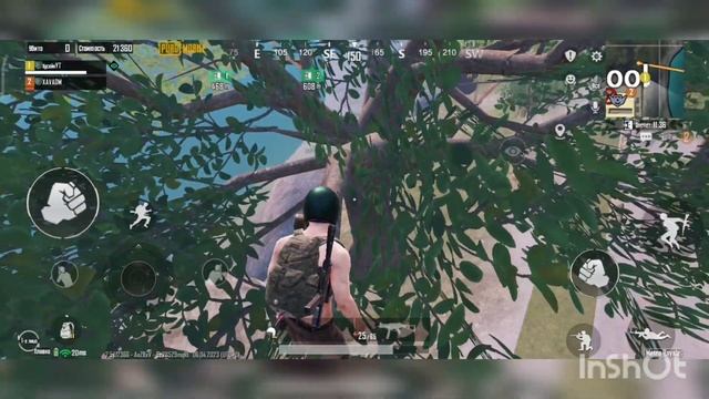 КАК ЗАЛЕЗТЬ НА ДЕРЕВЬЯ, НА 5 КАРТЕ В НОВОМ МЕТРО РОЯЛЬ #pubgmobile #metroroyale смотреть онлайн