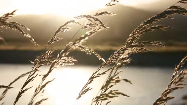 Relax Music Video | Mountain Meditation Music смотреть онлайн