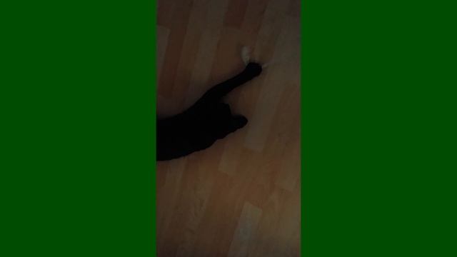 Guimo смотреть онлайн