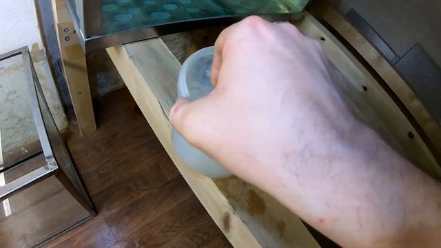 ВСЯ ПРАВДА ОБ ИНФУЗОРИИ! Содержание, кормление, витаминизация.