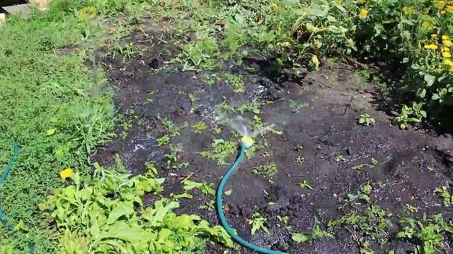 Дачная улитка поливалка смотреть онлайн