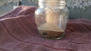 Делаем Живой террариум из стеклянной банки / Вечный террариум