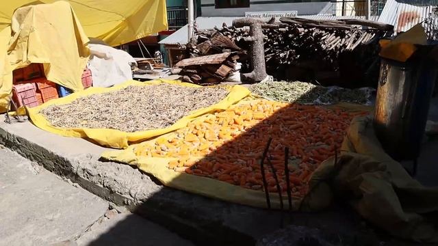 Manali Vlog | Places to visit in Manali | Manali after lockdown | Solang Valley | Manali trip (2020 смотреть онлайн