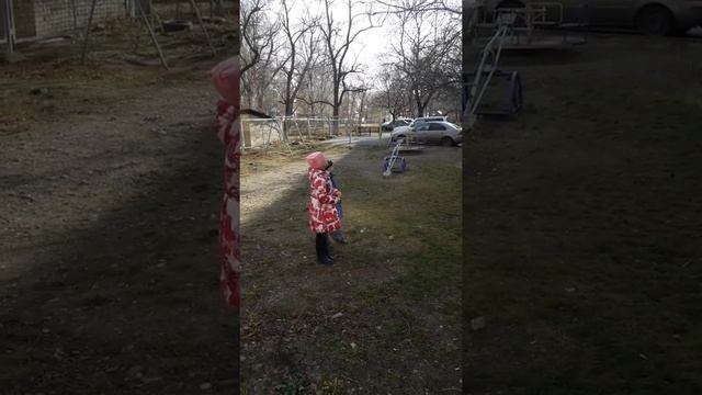 что любит есть синица ?... семечки! смотреть онлайн