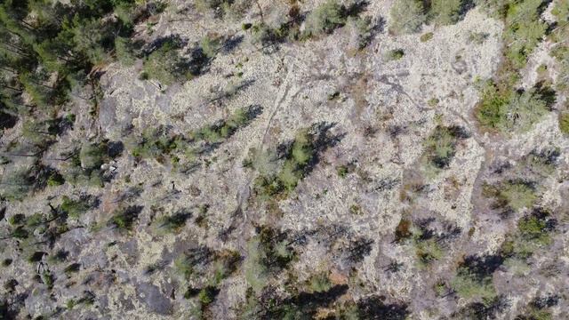 Полет вокруг монастырского озера на Путсаари (остров святого Сергия). "Макушка лета", 15 июля 2023 смотреть онлайн