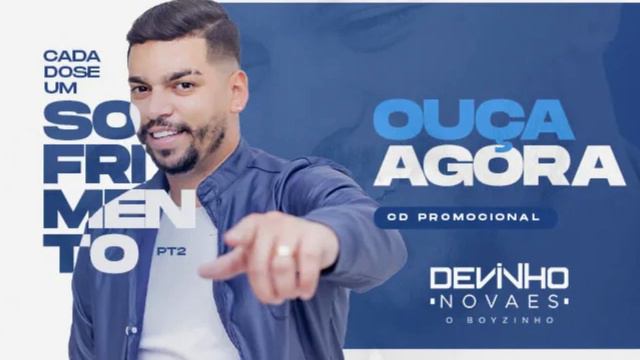 DEVINHO NOVAES - CD ATUALIZADO - NOVO CD COMPLETO JUNHO INVERNO 2023 MUSICAS NOVAS смотреть онлайн