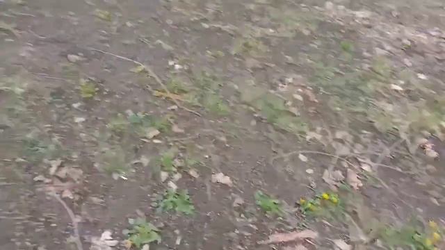 КТ и другое, как успеть? смотреть онлайн