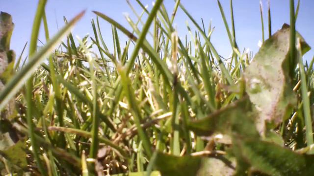 AR.Drone 2.0 Video: 2013/07/06 смотреть онлайн