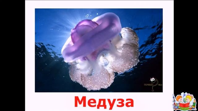Обитатели водной среды. Развивающее видео для детей. смотреть онлайн