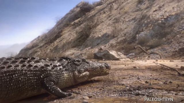 У спинозавра был медленный метаболизм или нет смотреть онлайн