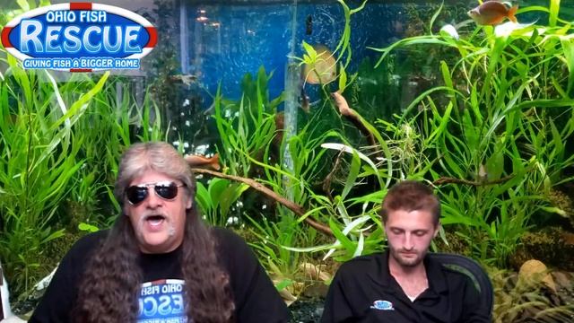 Stay Fishy Friday 6/26/20 #teamtracy смотреть онлайн